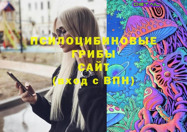 кокс Арсеньев